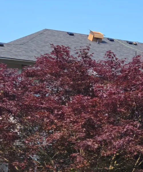 Roof Installation in Portland 